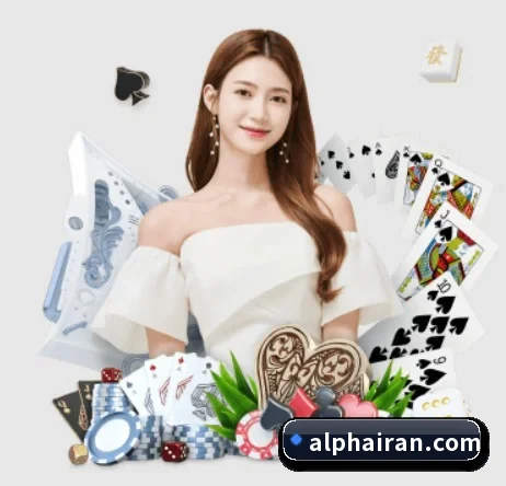 半岛网页版登录入口 APP 界面